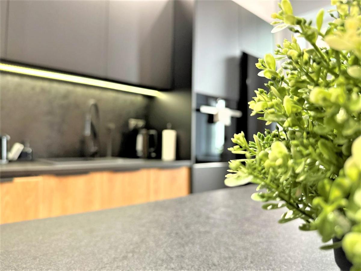 Luxury 100M2 Loft Design-Apartment At Wawel + Netflix Krakow Dış mekan fotoğraf
